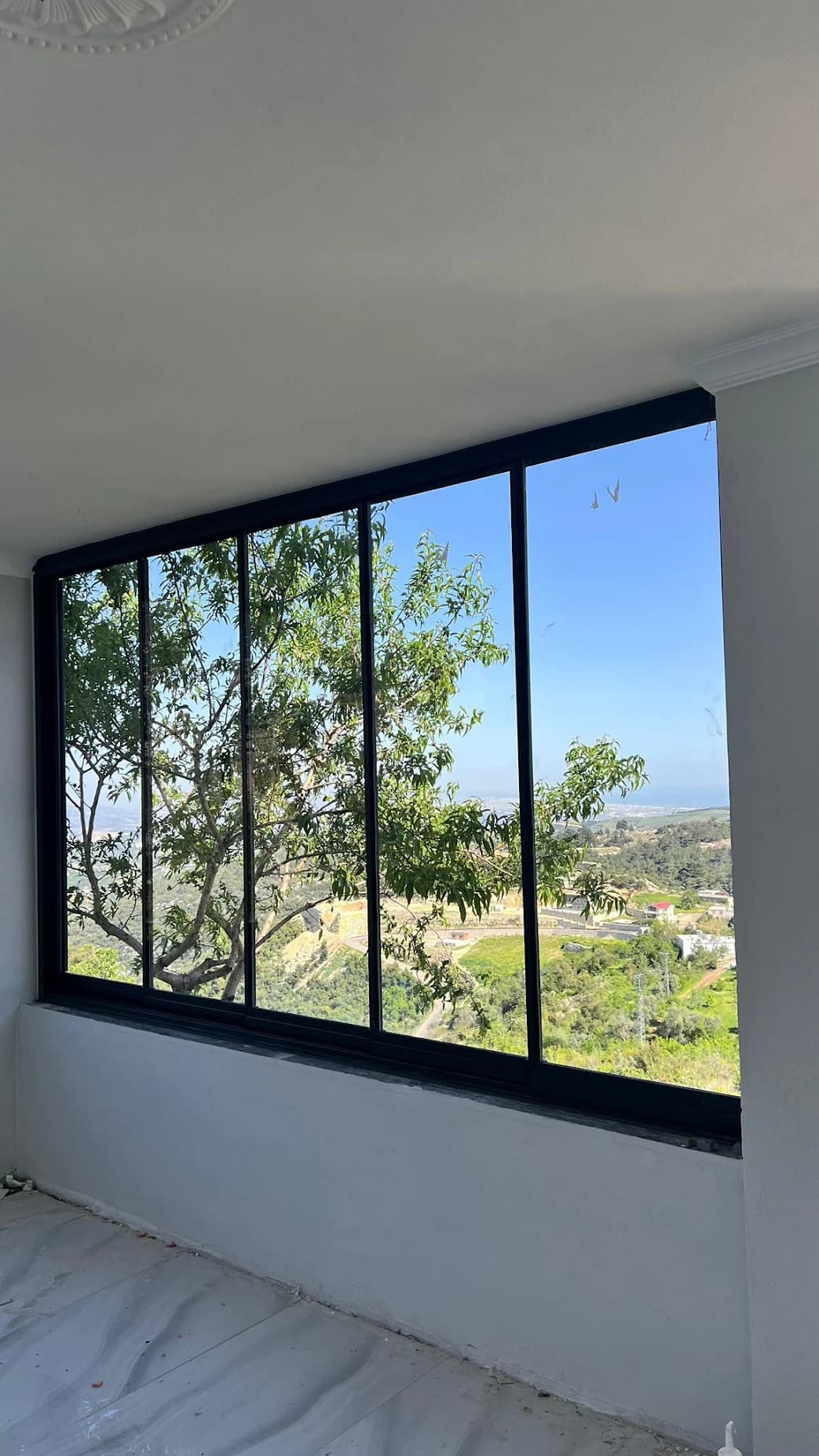 Erdi Yesil - Fotoğraf 3